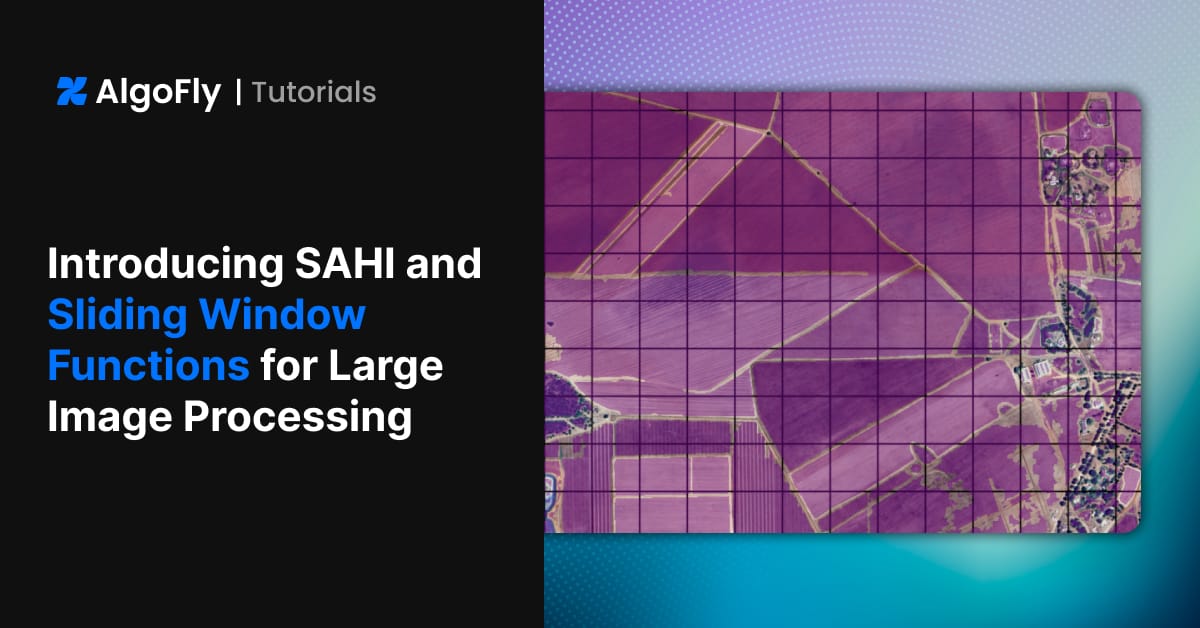 Introducing SAHI and Sliding Window Functions for Large Image Processing